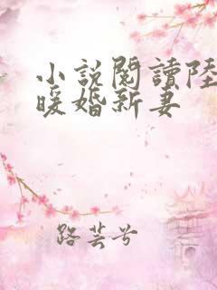 小说阅读陆少的暖婚新妻