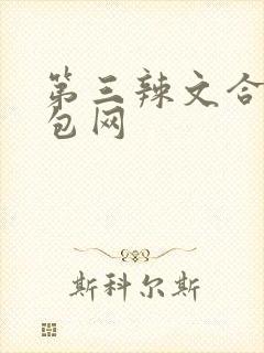 第三辣文合集书包网