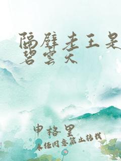 隔壁老王是皇帝碧云天