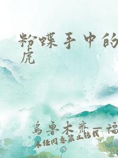 粉蝶手中的纸老虎