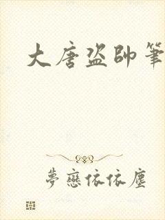 大唐盗帅笔趣阁