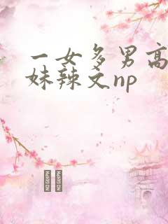 一女多男高h兄妹辣文np