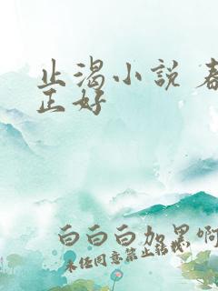 止渴小说 春光正好