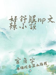 好舒服np文高辣小说