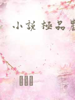 小说 极品农民