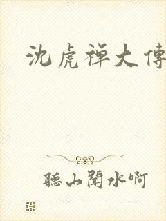 沈虎禅大传