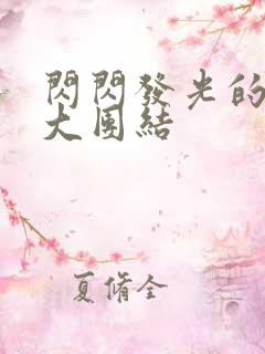 闪闪发光的小说大团结