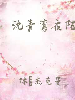 沈青鸾夜陌凌