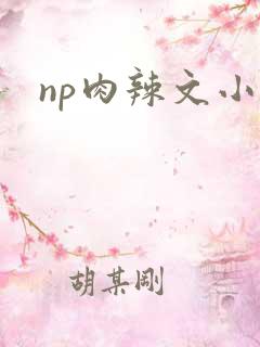 np肉辣文小说