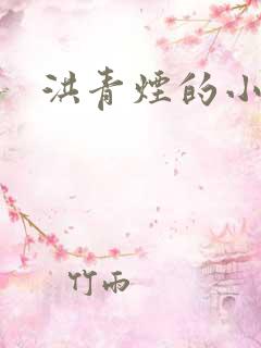 洪青烟的小说