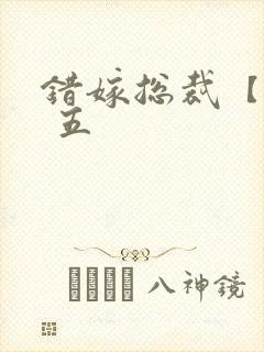错嫁总裁【完】 五
