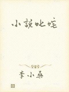 小说叱咤
