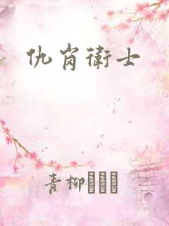 仇岗卫士