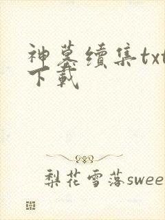 神墓续集txt下载