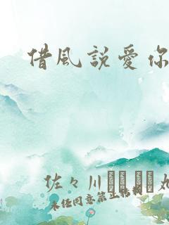 借风说爱你