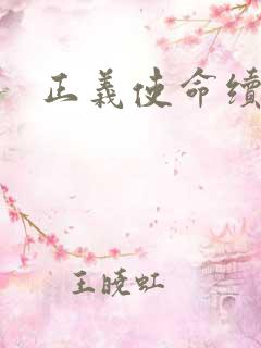 正义使命续集