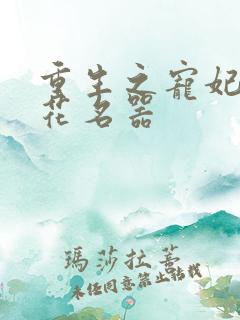 重生之宠妃白莲花名器