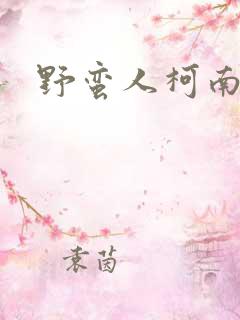 野蛮人柯南小说