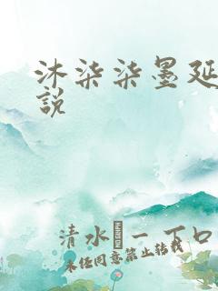 沐柒柒墨延爵小说