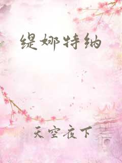 缇娜特纳