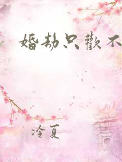 婚劫只欢不爱
