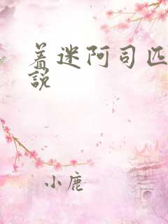 着迷阿司匹林小说