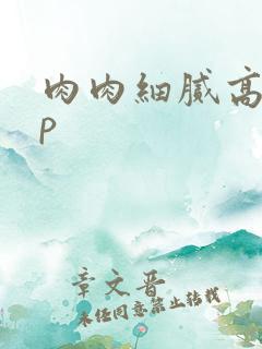 肉肉细腻高辣np