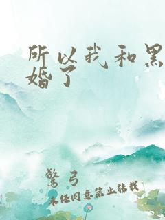 所以我和黑粉结婚了