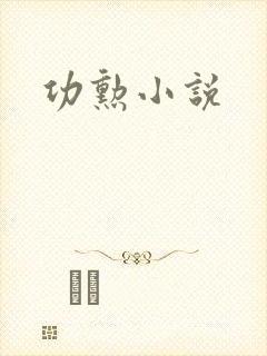 功勋小说