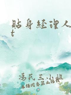 贴身经理人txt