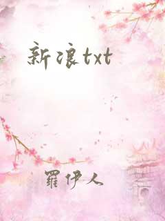新浪txt