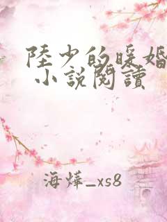 陆少的暖婚新妻 小说阅读