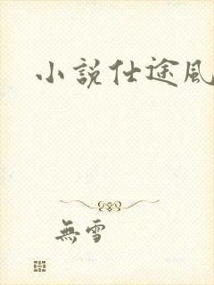 小说仕途风流