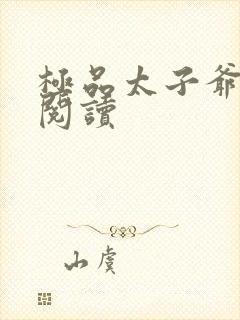 极品太子爷全文阅读