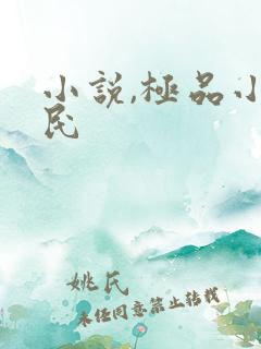 小说,极品小农民
