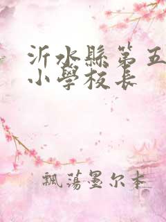 沂水县第五实验小学校长