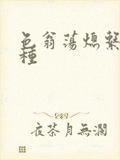 色翁荡熄系列借种