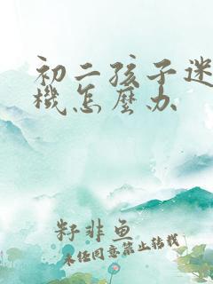 初二孩子迷恋手机怎么办