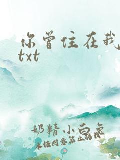 你曾住在我心上txt