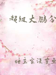 超级大鹏分身