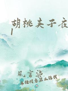 胡桃夹子夜未眠1