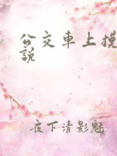 公交车上摸我小说