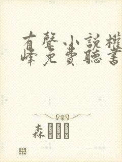 有声小说权力巅峰免费听书