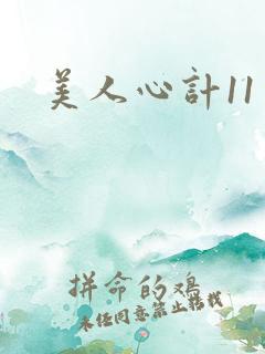 美人心计11