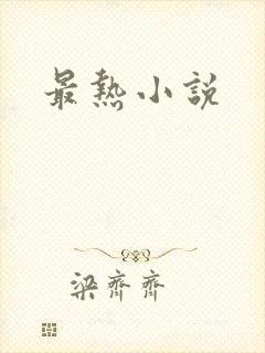 最热小说