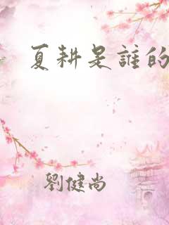 夏耕是谁的女婿