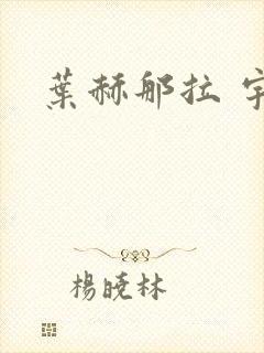 叶赫那拉 宇策