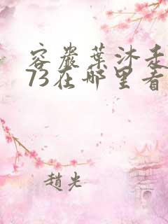 容岩叶沐走着做73在哪里看