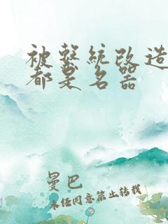 被系统改造全身都是名器