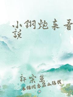 小钢炮来看我小说